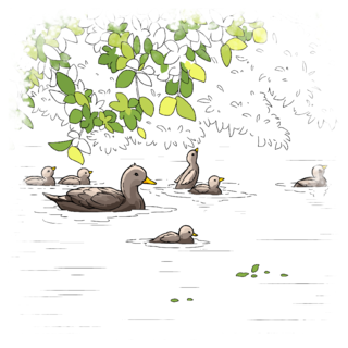 Coloring Page Video: The Fun Story of a Group of Ducklings
