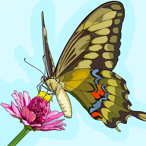 User colored butterfly